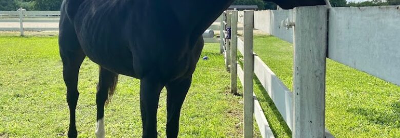 Serenity Show Stables