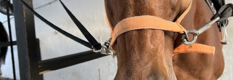Florida Equestrian Center