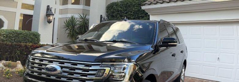 Vice City Transportation LLC