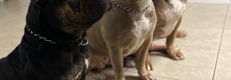 Miracle Puppies Whelping