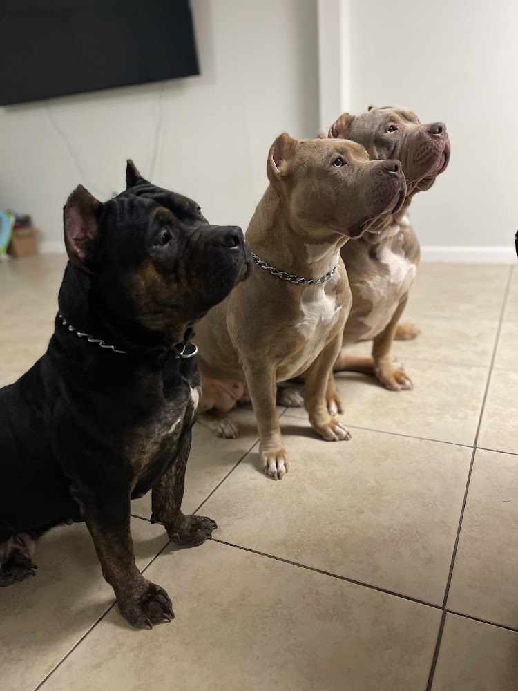 AC9h4noG za28aQwiJADfBXstdHS9yQ6XKo2wjHe7ZMK aBPwXsIaIkmZdQMO3f8SXWWAHILE8tS3M1f36F981I7jYRs3GehrMgVnKllArzdaniP dK858AFSgPt6xcm G 9SDmrMhGTnNiNBO8w1600 h1000 k no