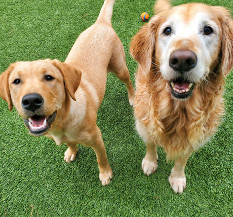 AC9h4noHOYtmfx0gG498WGmrt43lKC1fD Id7E aac0Esq0paxEb4sipZyTrozsjxsrlzPV7GAtU4T45aHlWjBgiTb8tnZKYt3NXXPDF5NK quISWyZgNHVvMI1b0VYS1U0EiJ9uZVQuw1600 h1000 k no