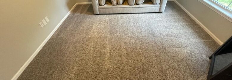 The Cleaning Ladies Inc – a Miami Maid company