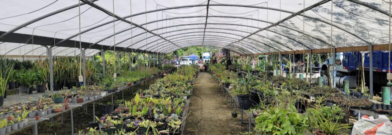 Santa Barbara Nursery Inc