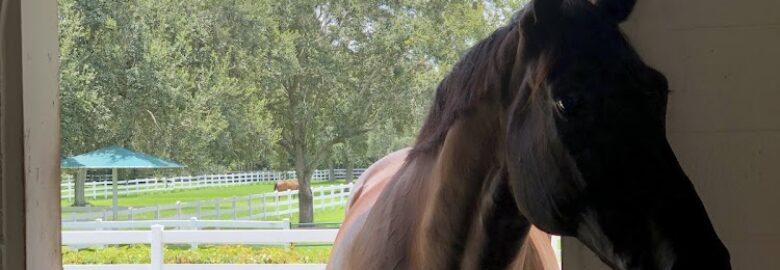 Gold Stirrup Show Stables, LLC.