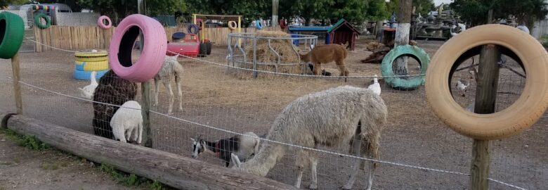 Lily’s Farm Animals & Lily’s Farmers Market