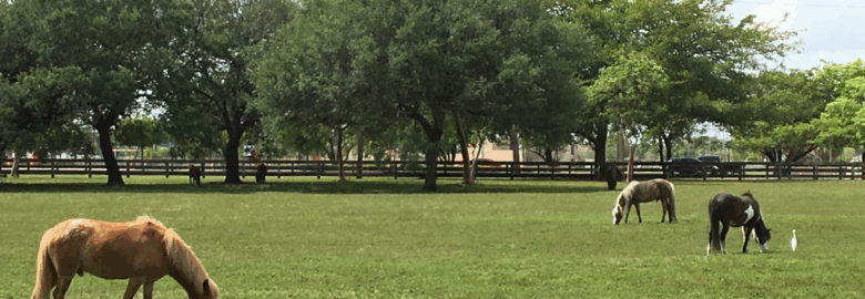 Bill Graham Farm Village