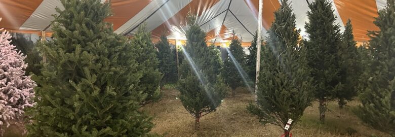 SantasGarden Christmas Trees