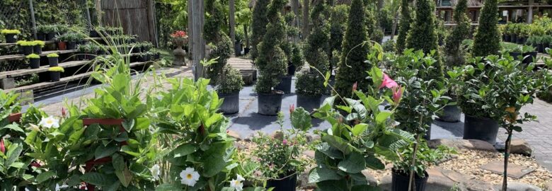Exclusive Nursery & Landscape