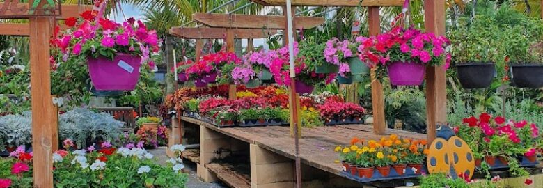 Sunset Nursery