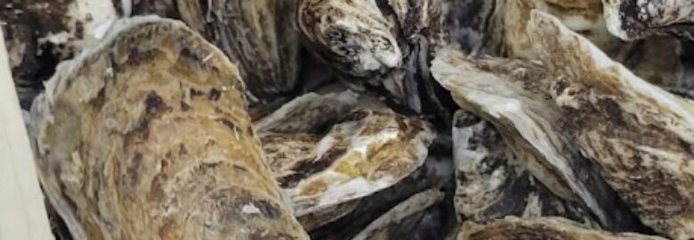 24 7 Seafood Distributor