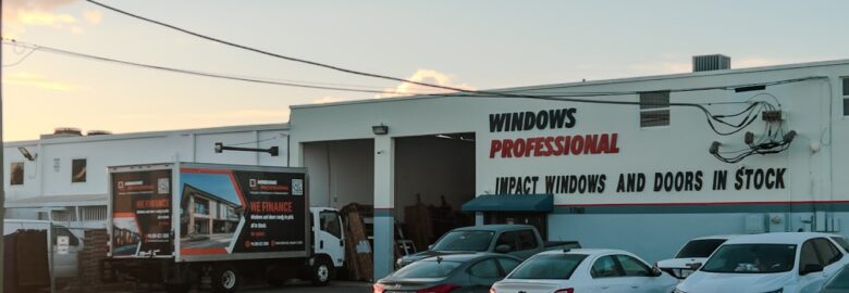 Windows Professional