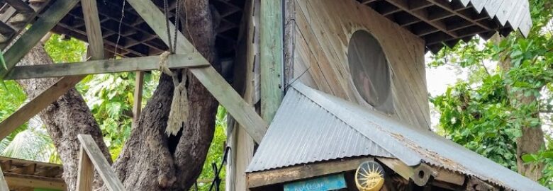 Earth ‘n’ Us Farm