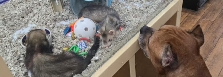 Pet Supermarket