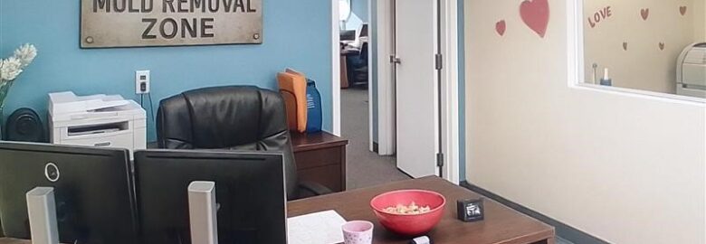 Mold Removal Zone – Hialeah FL