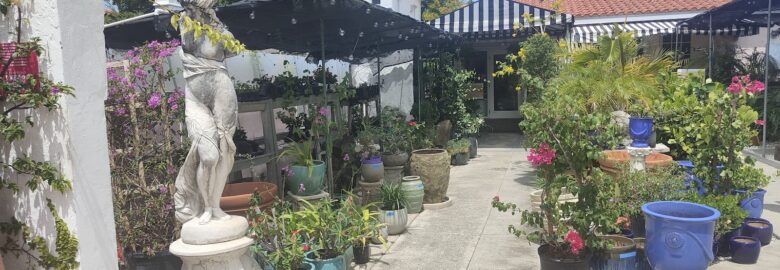 Alton Road Nurseries