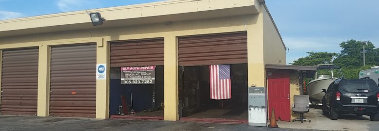 DLV Auto Repair