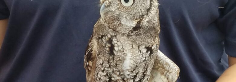 Tropical Audubon Society
