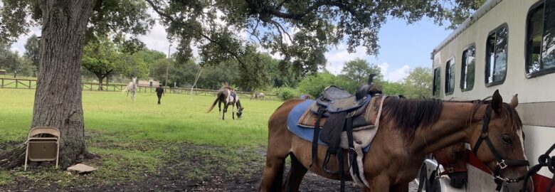 A&A Adventure Horse Trail Rides