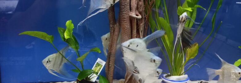 Redland Tropical Fish Farm, Inc