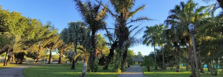 Palmetum at Miami Dade North