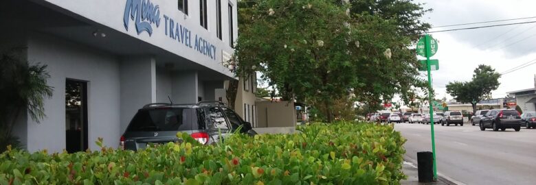 Mena Travel Agency