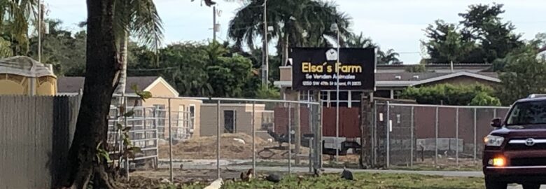 Elsa’s Farm