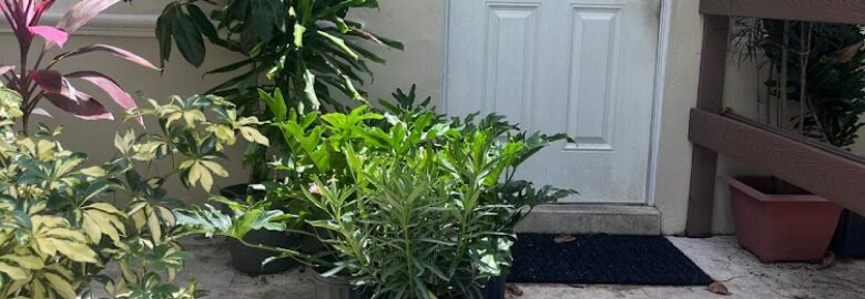 Plants Miami nursery shop