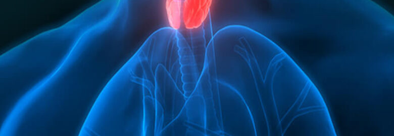 Miami Endocrine Associates, PA