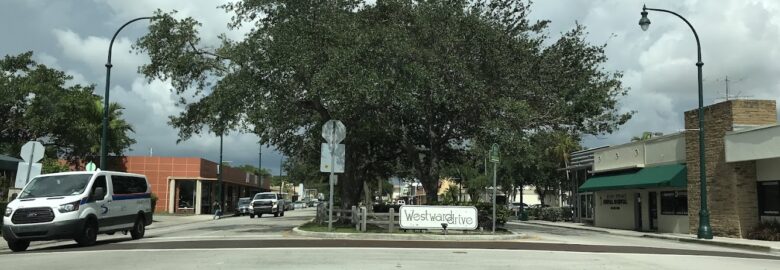 MiamiSprings.com