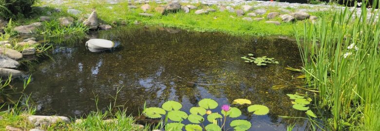 Ichimura Miami Japan Garden