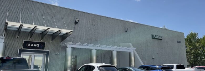 American Architectural Metals and Glass