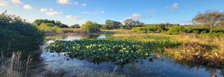 Snake Warrior’s Island Natural Area