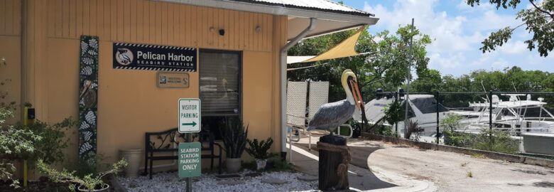 Pelican Harbor Seabird Station