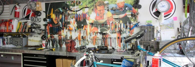 Willie’s Bicycle