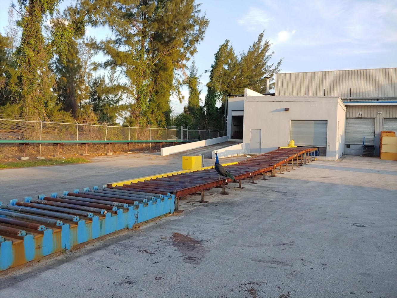 AC9h4nrIrav6EEJ5HjeKS3lwfQwMrBaVEuW3QbunE9sMS18JpGvns1pg20pz4o8H9DB8iHeTBCpV15WoQsrrNuLs5fUQVXoph2ZFk0 y qGku41evYVgIJ MWVDDqu1oci6AoAGNy4cw1600 h1000 k no