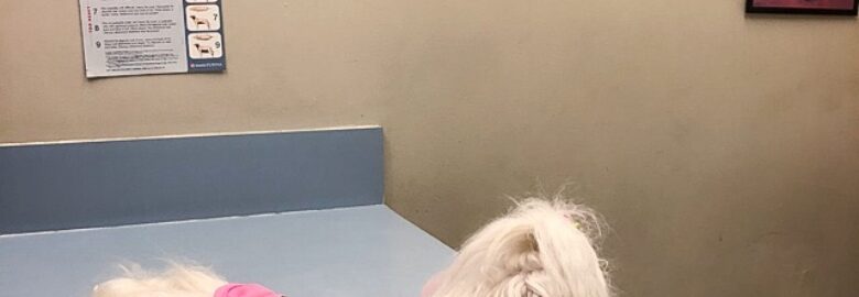 Care Corner Animal Clinic