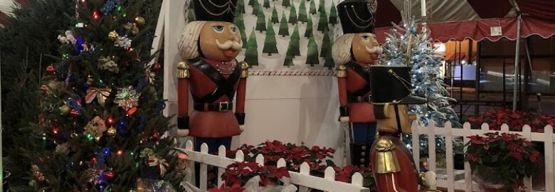 SoFlo Christmas Trees