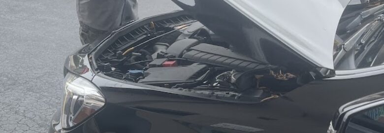 Auto Glass North Miami