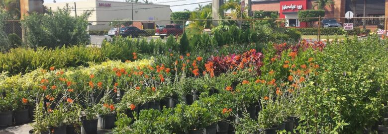 My garden center