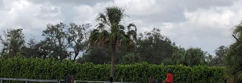 Miami International Riding Club Sales