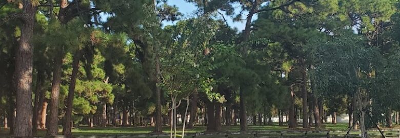 Vista Verde Park