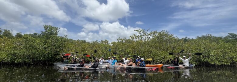 Get Up And Go Kayaking Miami