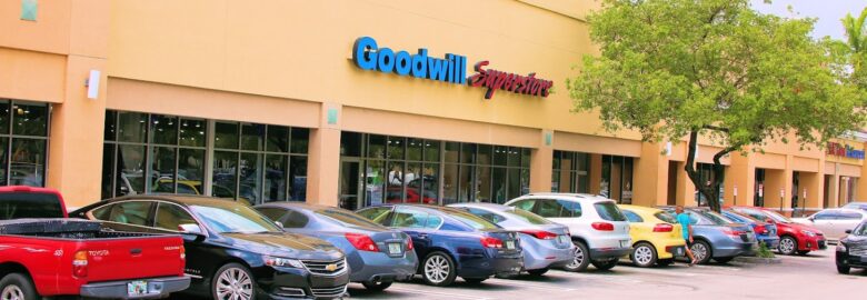 Goodwill