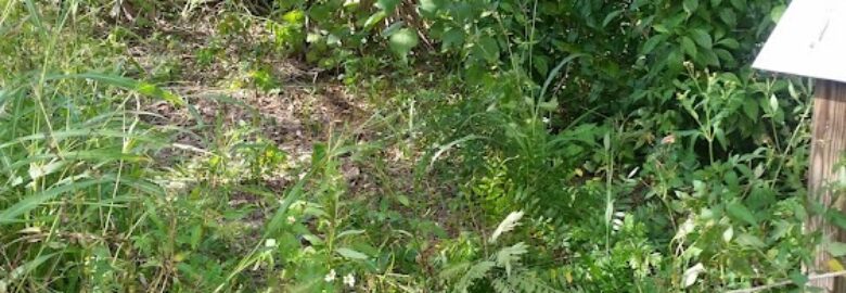 Miami-Dade County Line Scrub Preserve