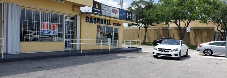 Baseball World
