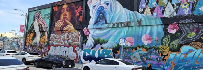 Wynwood art distric