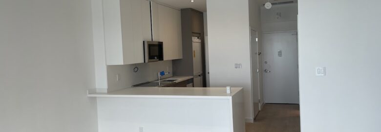 Luisnel Painting Corp