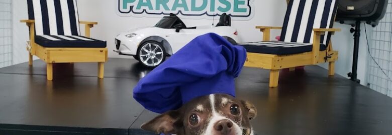 A Doggies Paradise