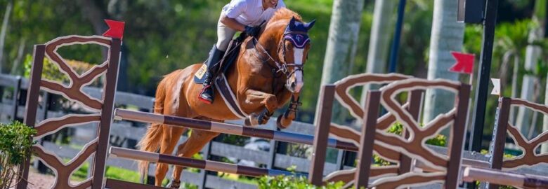 Sunset Equestrian Stables